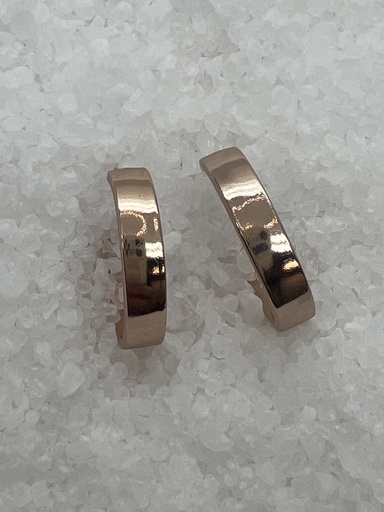 [254A0072] Pendientes de plata